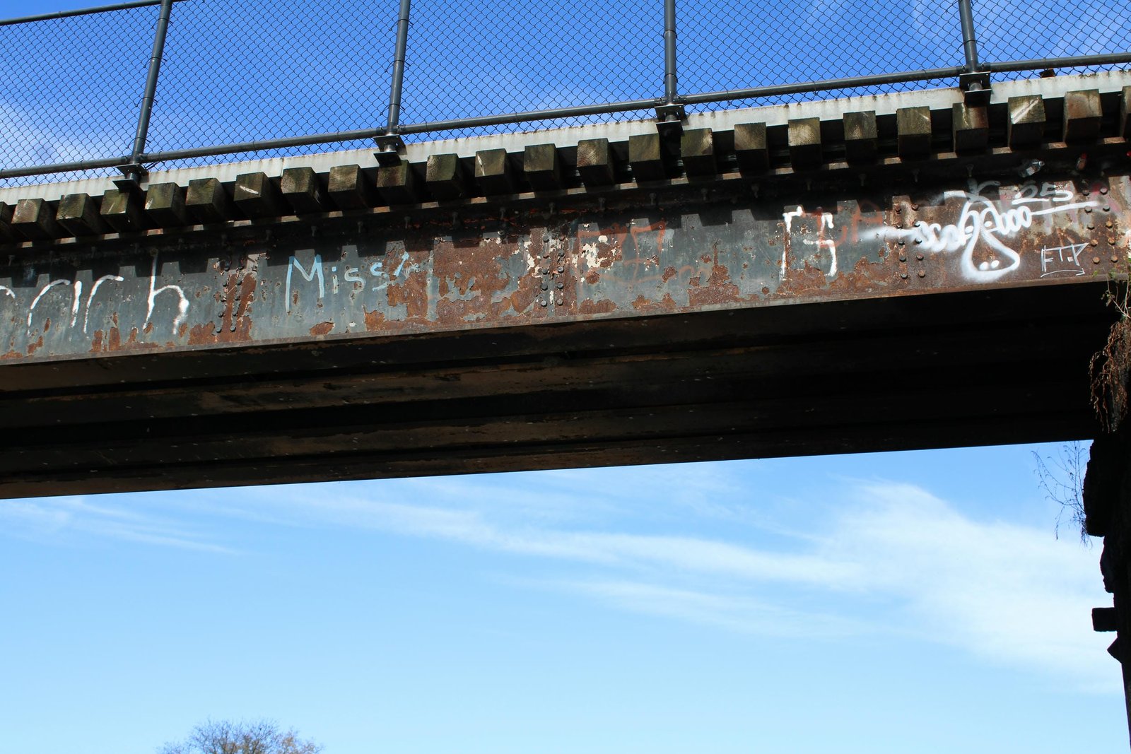 Main span details